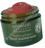 Product Image: BioActive 8 Berry Fruit Enzym Mask